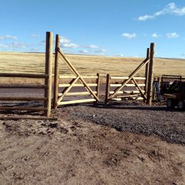 Treated Split Ranch Rail Gate